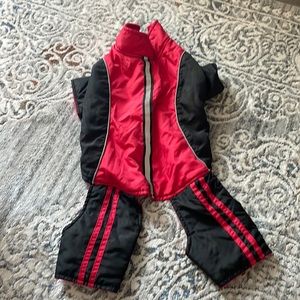 Small dog snow suit